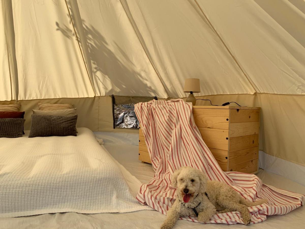 Bigova Glamping Hotel Kotor Exterior foto
